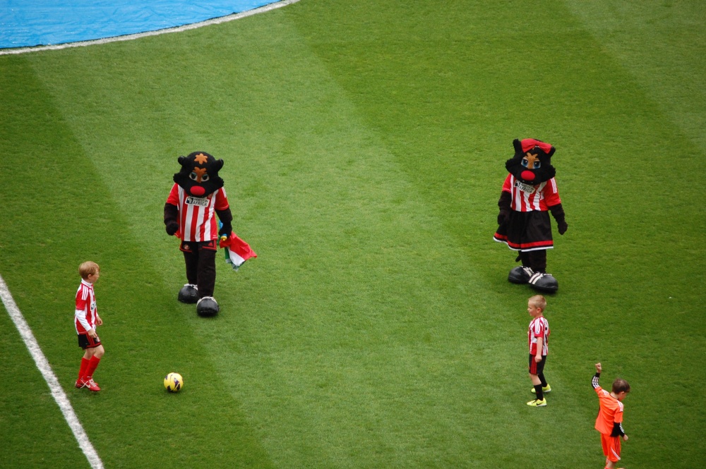 Black Cats Mascots