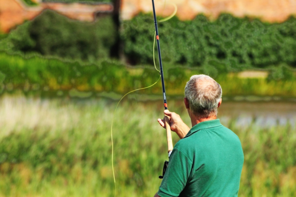 Arbury Hall Game Fair