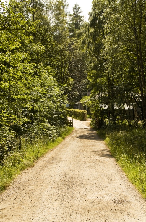 Manesty Park, Derwentwater