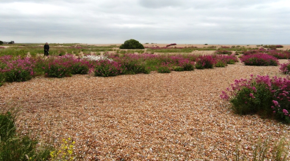 Shingle beach