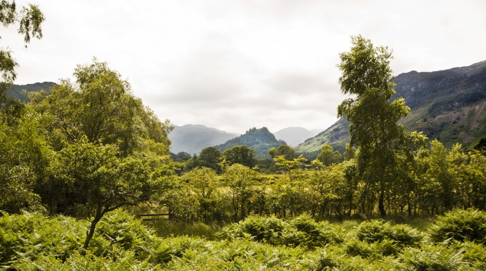 Into Borrowdale from Derwentwater