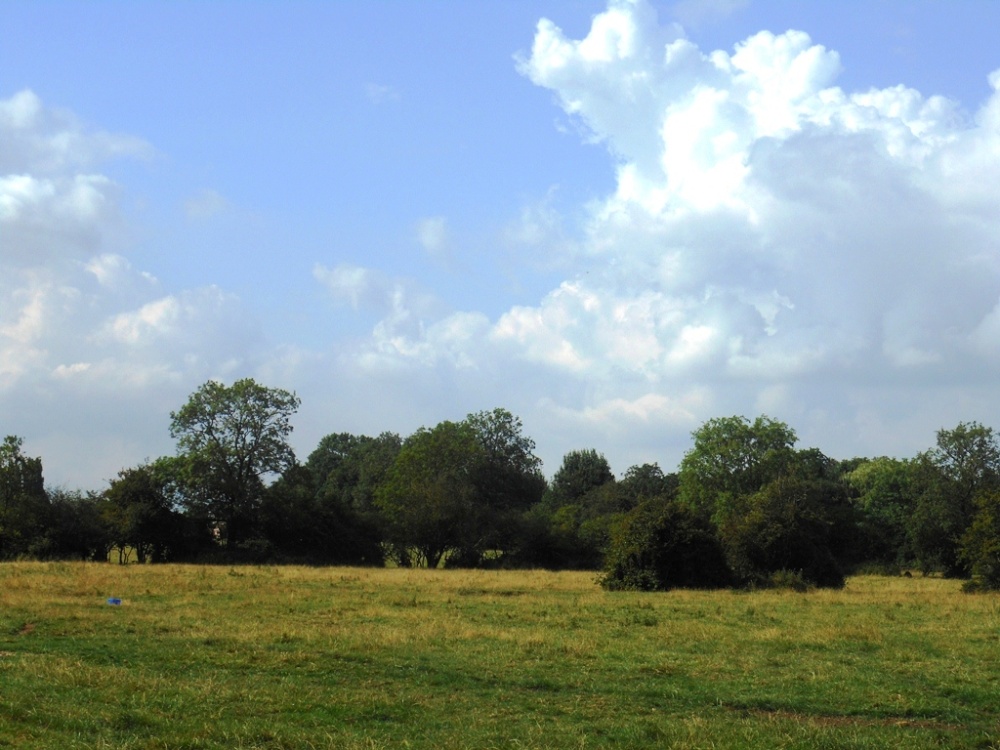 The Green, Long Lawford