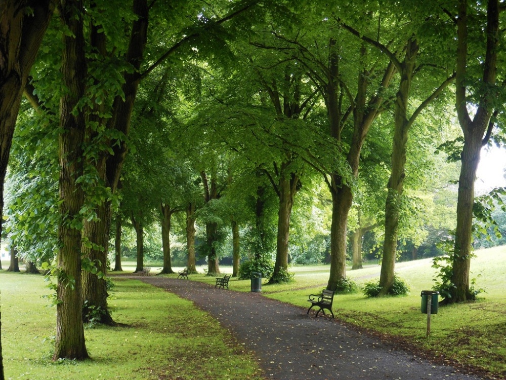 Ashcombe Park, Weston-Super-Mare