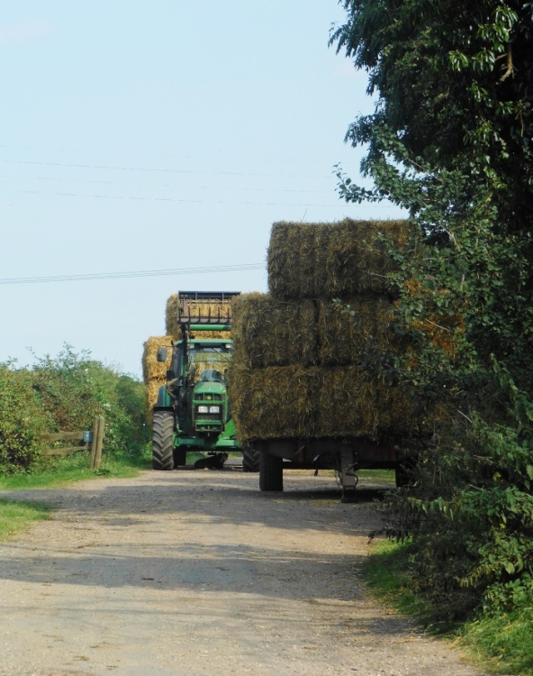 Windmill Lane, Dunchurch