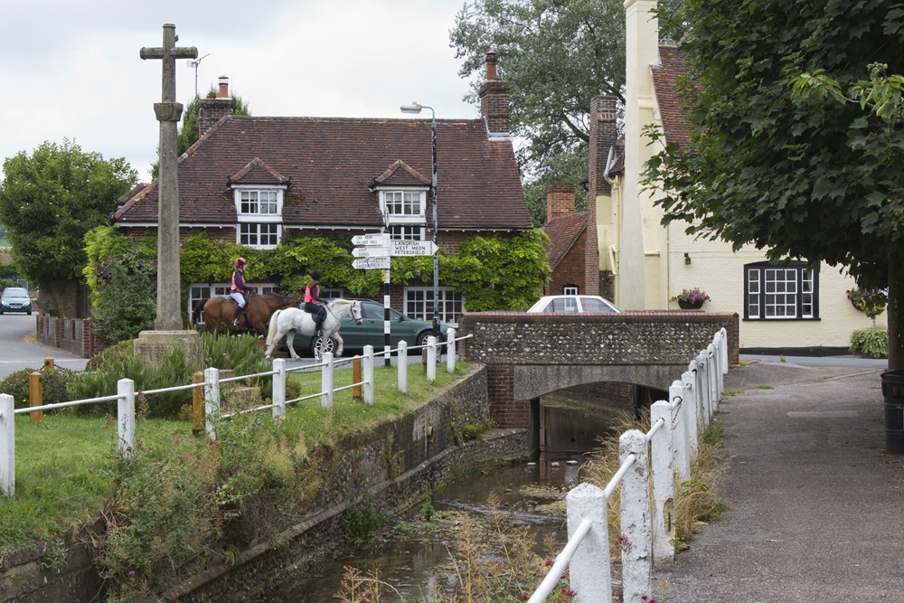 Photograph of A two horse town!