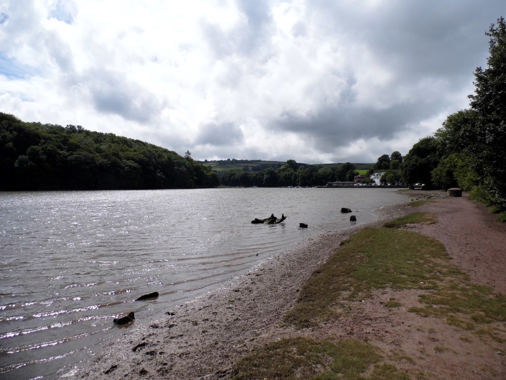 A walk along the waters' edge