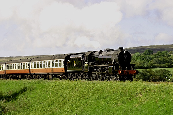 Steam Locomotive photo by Tom Curtis