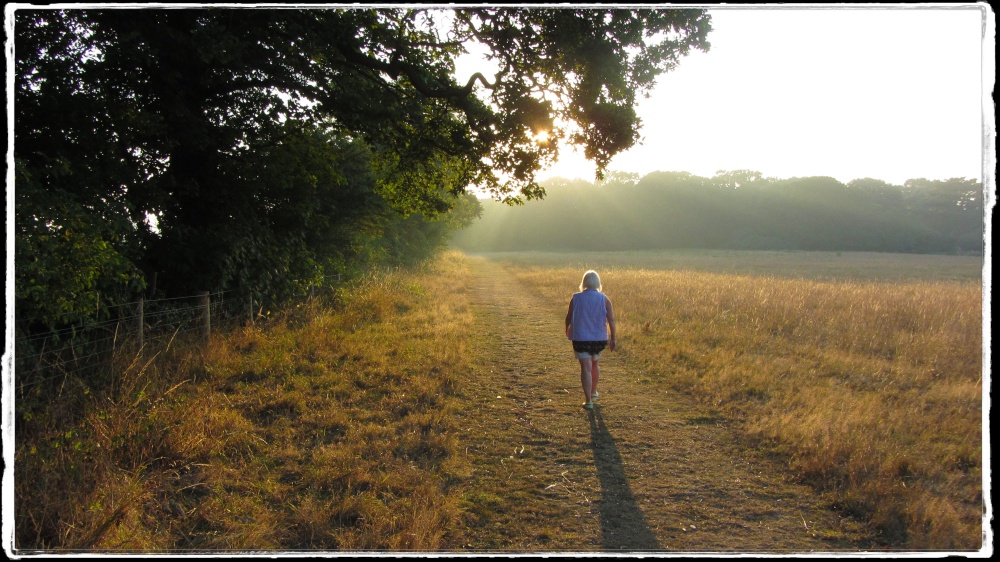 Lound Lake Walks, Suffolk