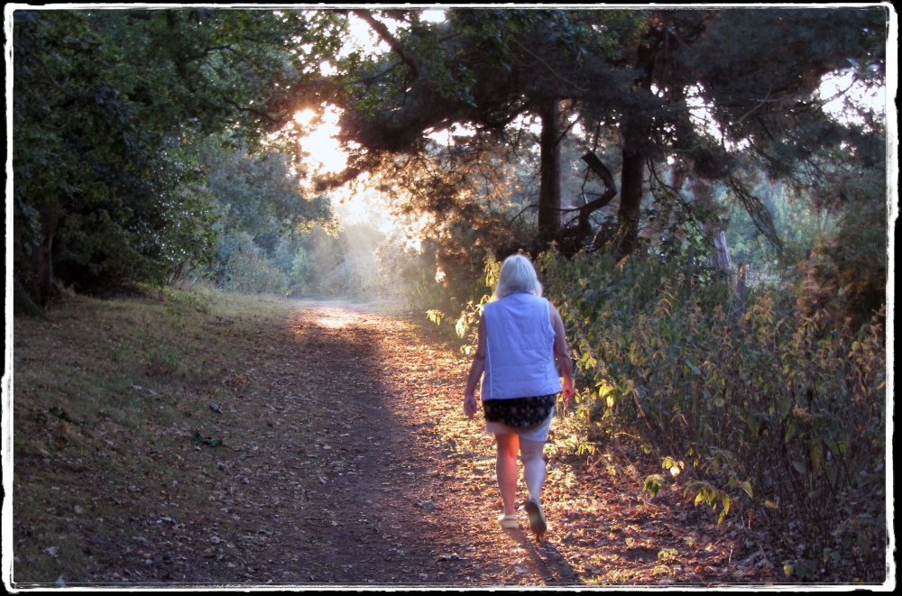 Lound Lake Walks, Suffolk