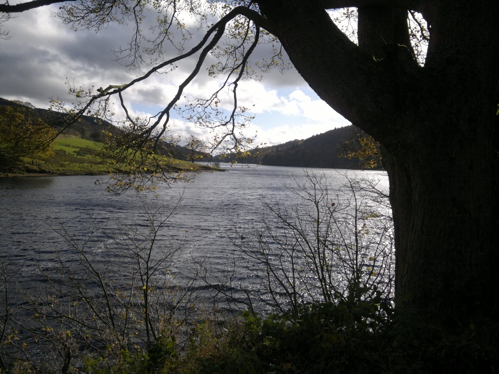 Ladybower in winter photo by David Dempsey