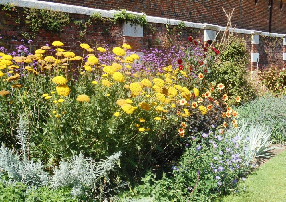 Hampton Court Palace Gardens