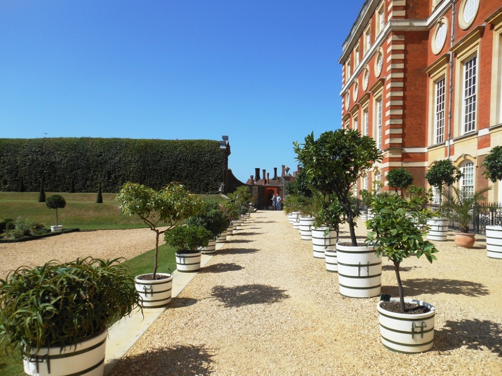 Hampton Court Palace Gardens