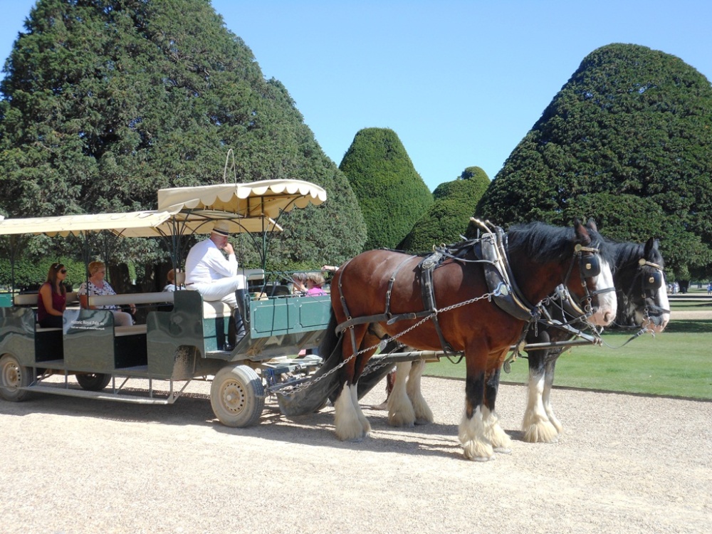 Hampton Court Palace Gardens