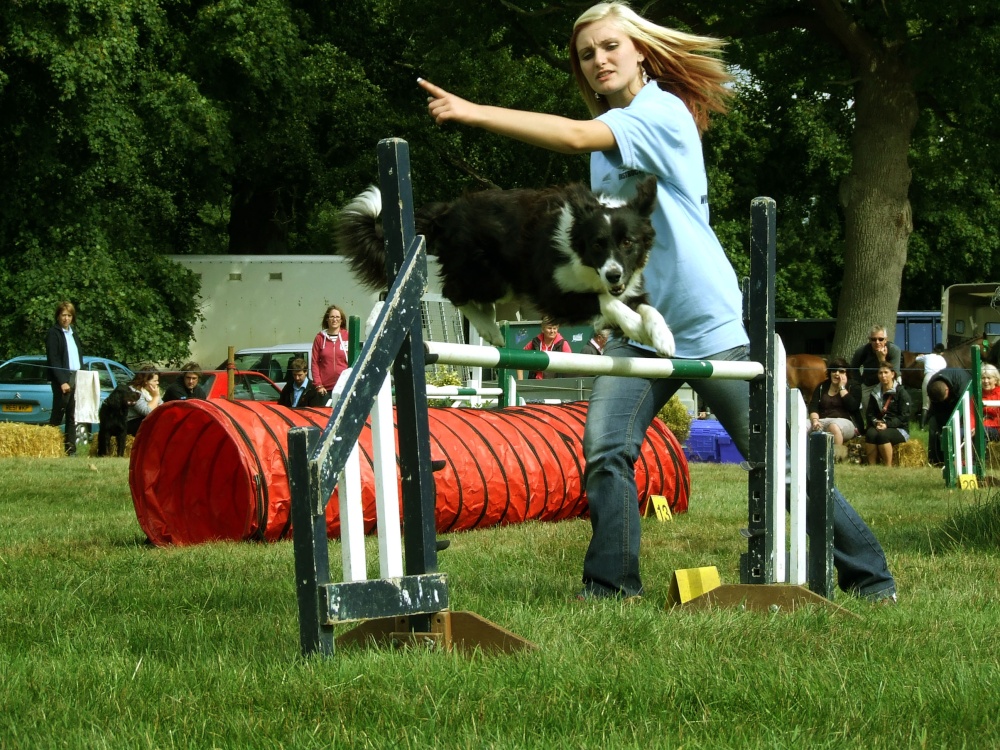 Frampton Country Fair