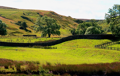 Baldersdale photo by Tom Curtis