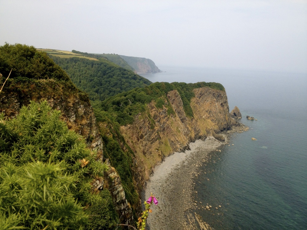 North Devon Coastal Cliffs near Clovelly