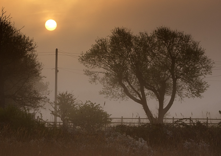 Photograph of Misty Sunrise at Keyhaven