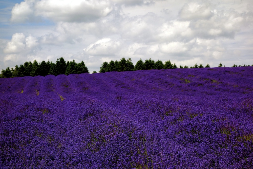 Snowshill, Gloucestershire
