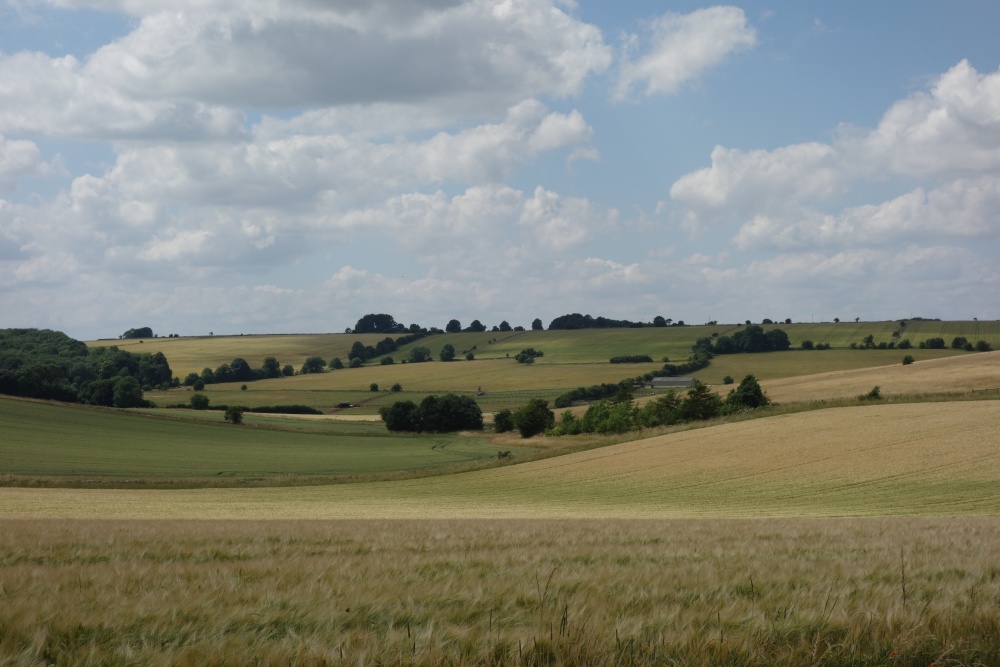 Cotswolds Landscape