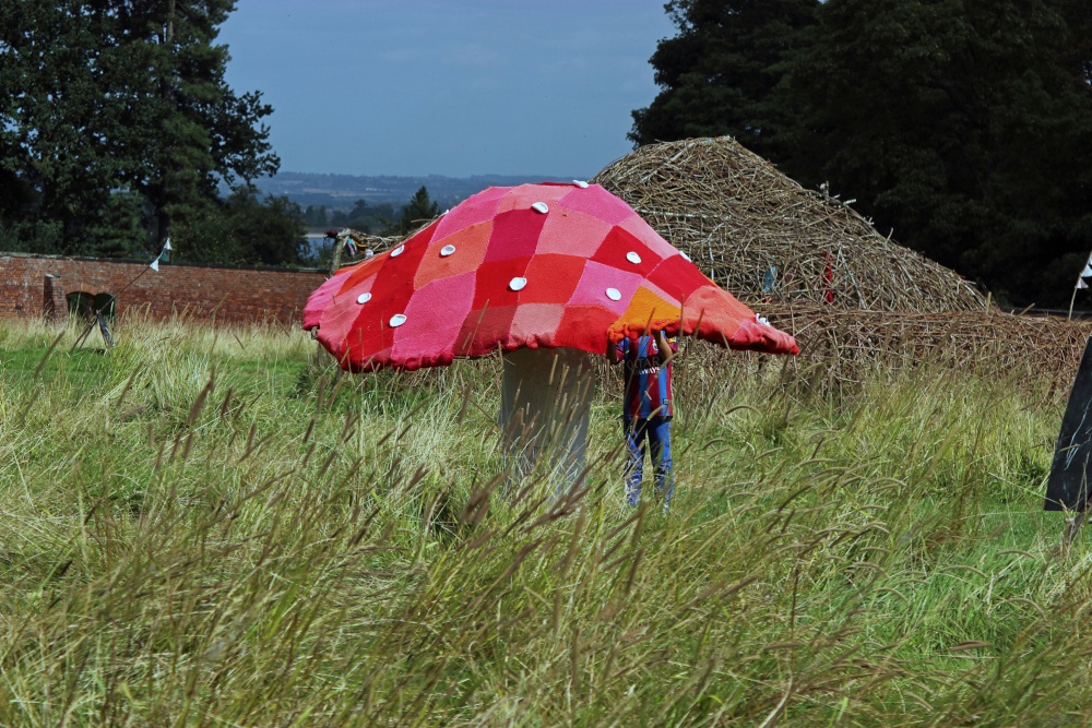 Magic Mushroom, in the Garden of Imagination, Calke Abbey