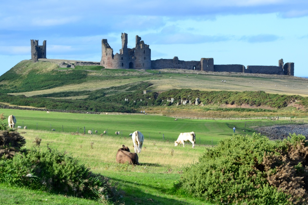 Dunstanburgh Castle