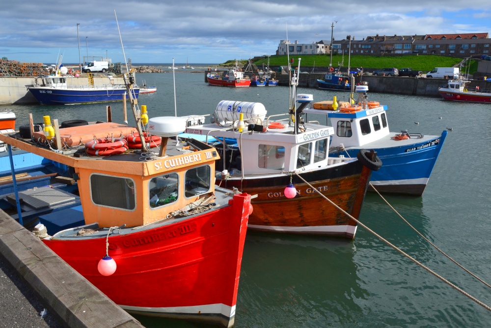 Seahouses harbour