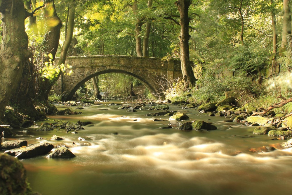 Photograph of Rivelin Valley