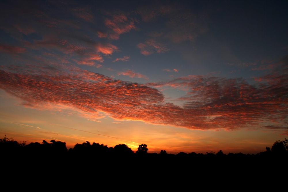 Barnack Hills & Holes NNR