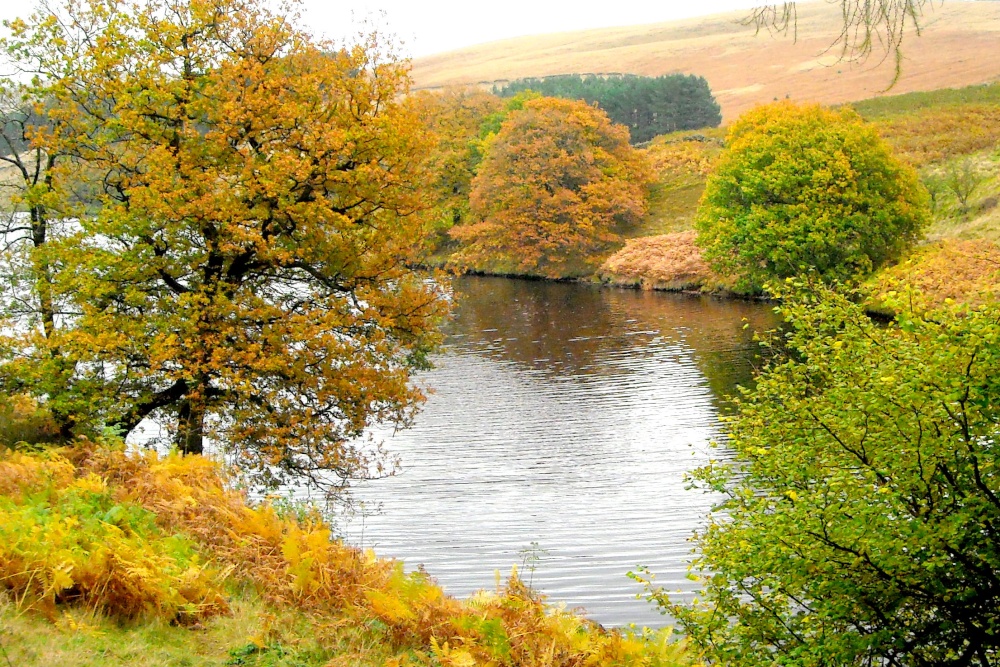 Errwood Reservoir