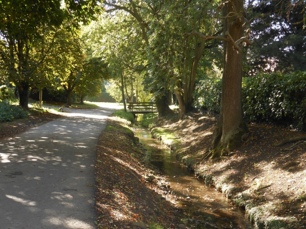 Country lane, Draycote