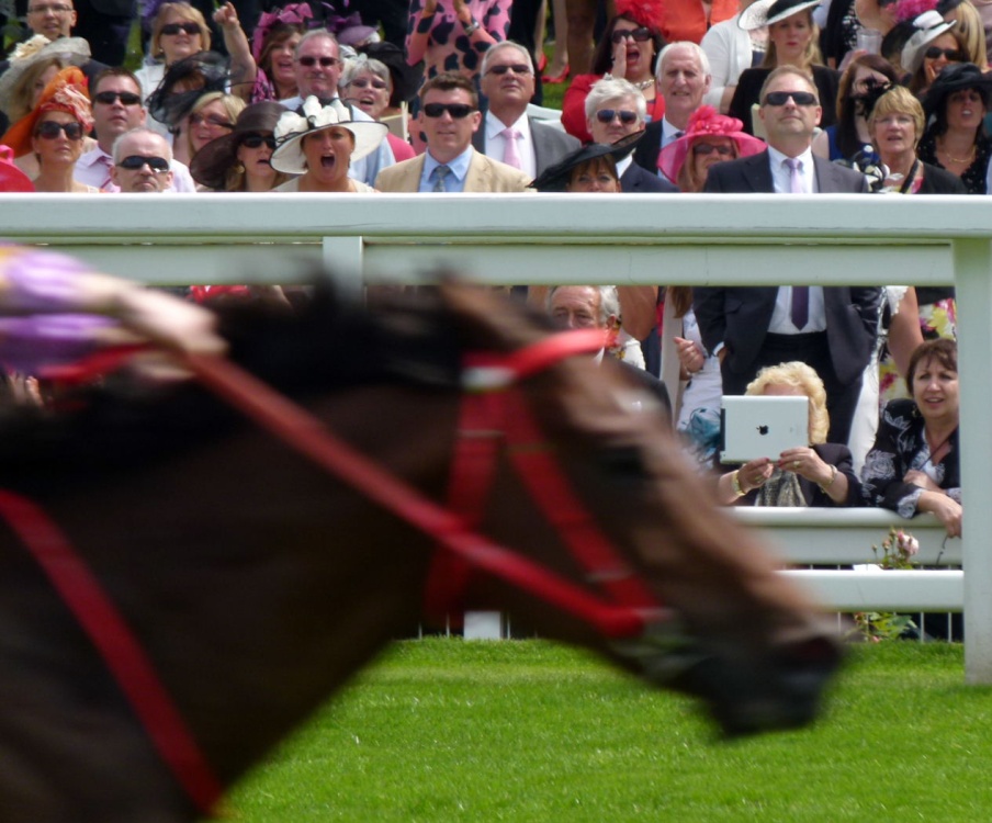 Ascot - Royal Ascot Races