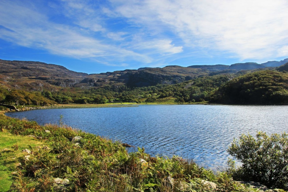 Photograph of Llyn Cwm Bychan near Llanbedr