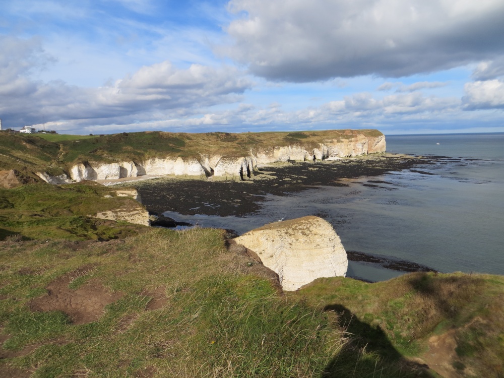 Coastline photo by Barbara Whiteman