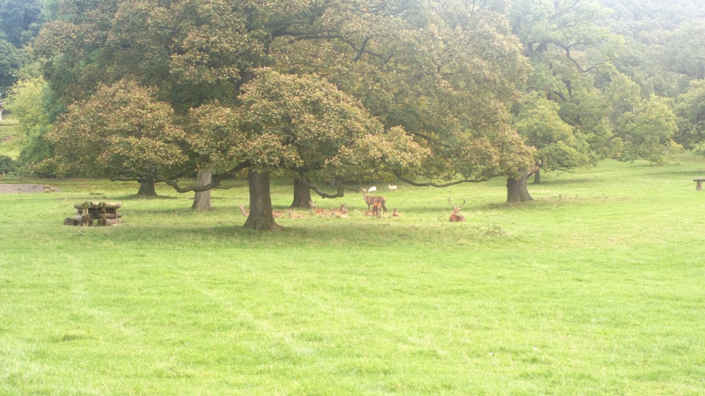 A man and his family at Chatsworth