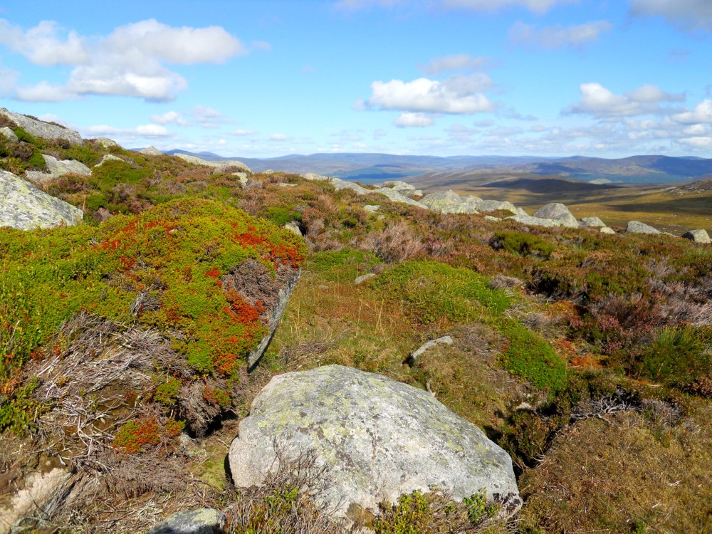 Cairngorm view