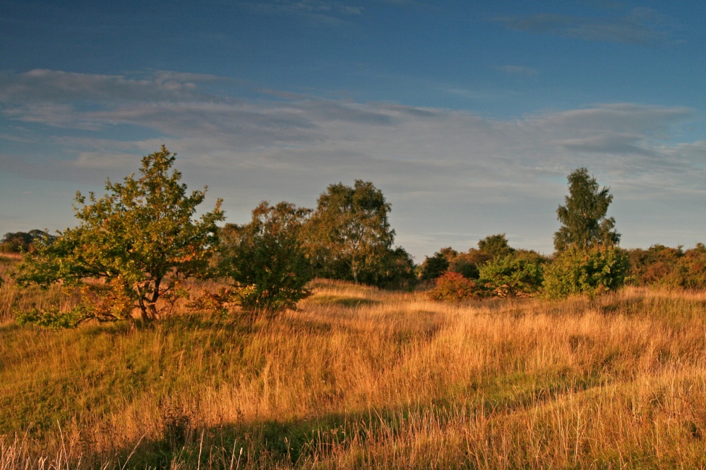 Barnack Hills & Holes NNR