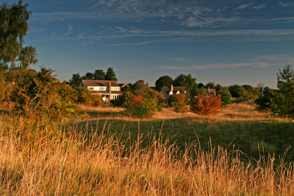 Barnack Hills & Holes NNR