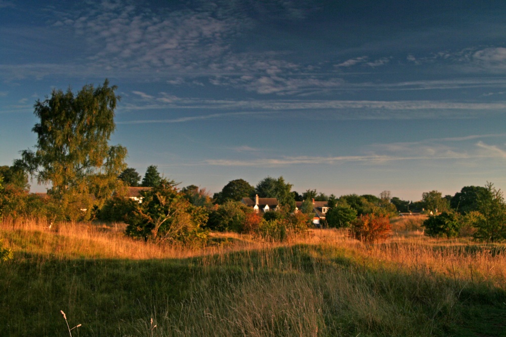 Barnack Hills & Holes NNR