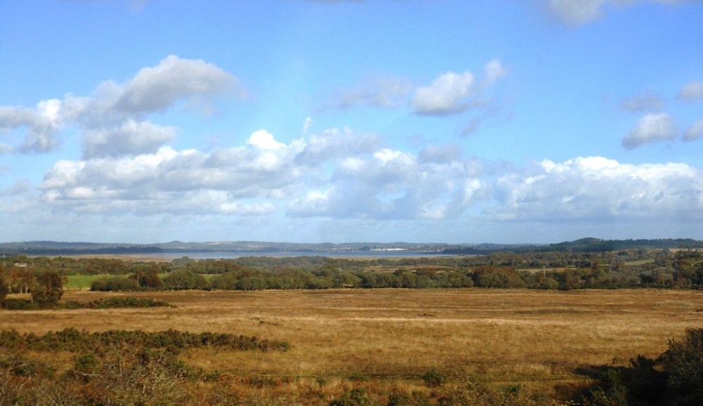 Photograph of View of Poole harbour from Norden