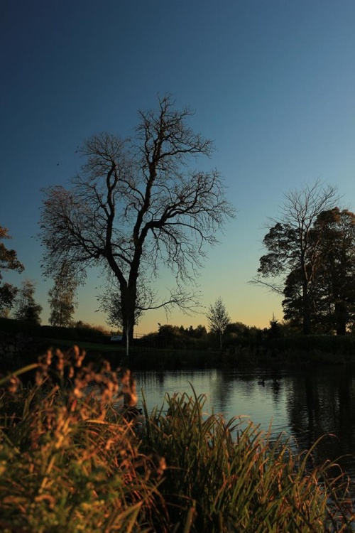 cusworth hall gardens