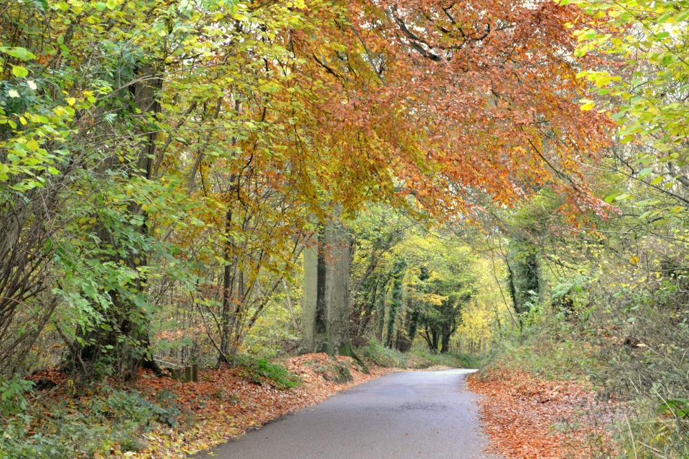 Everdon Stubbs in Autumn