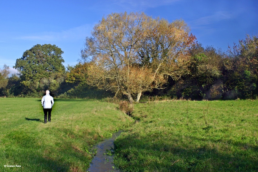 Stour Valley Autumn