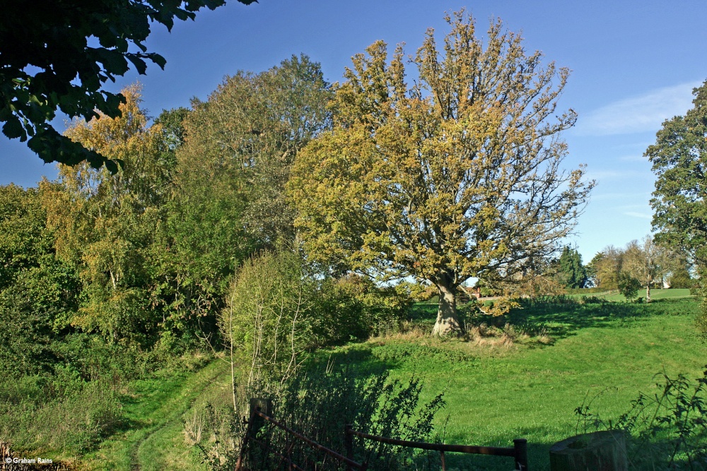 Stour Valley Autumn