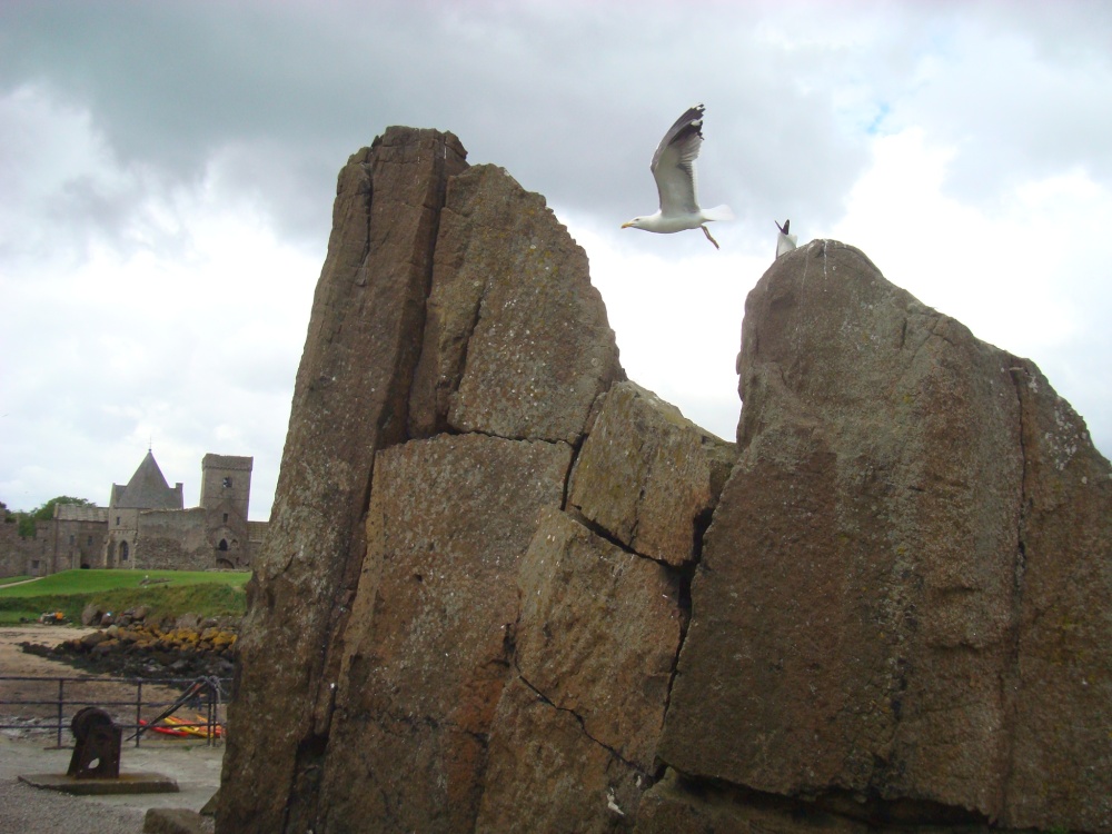 Inchcolm Island scene photo by Victor Naumenko
