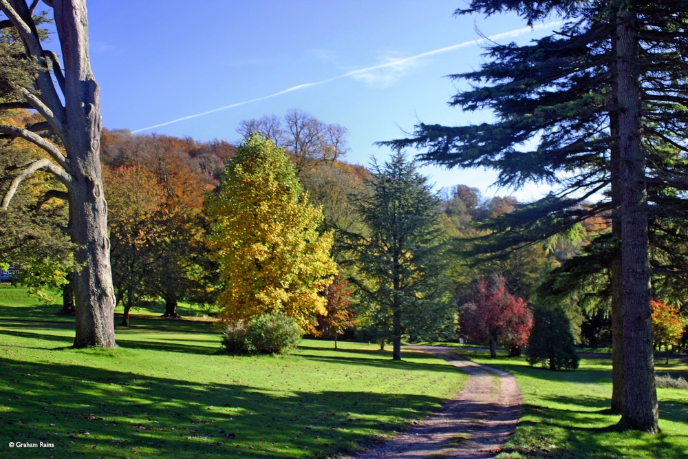 Milton Abbas, Dorset.