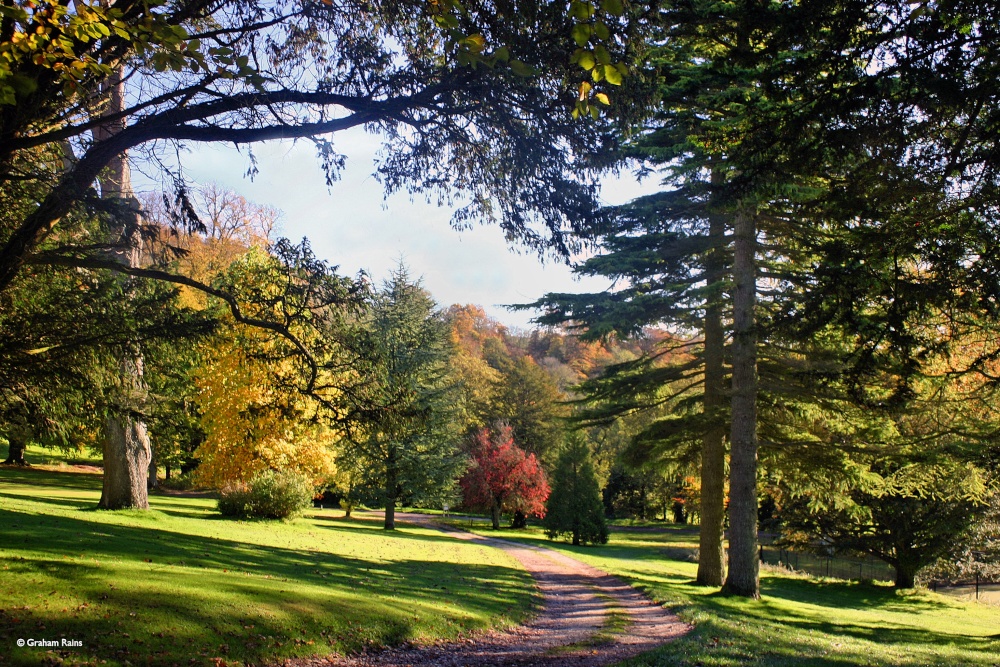 Photograph of Milton Abbas, Dorset.
