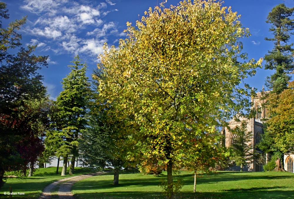 Milton Abbas, Dorset.