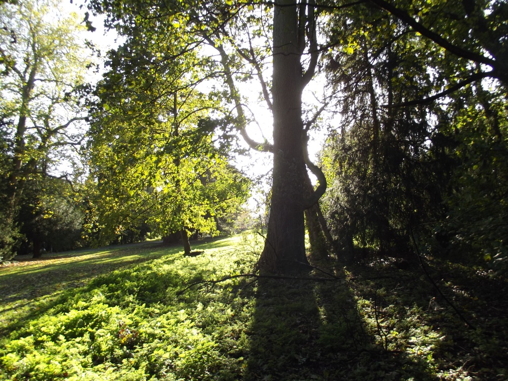 Photograph of Rushden Hall Park