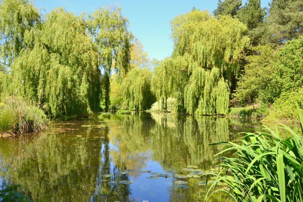 Gooderstone Water gardens