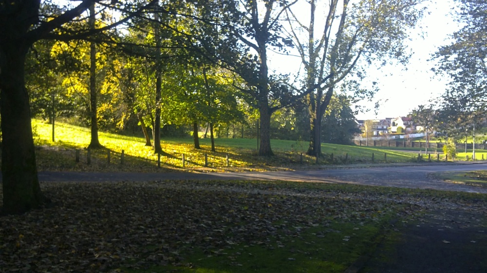 Photograph of Autumn in Royton